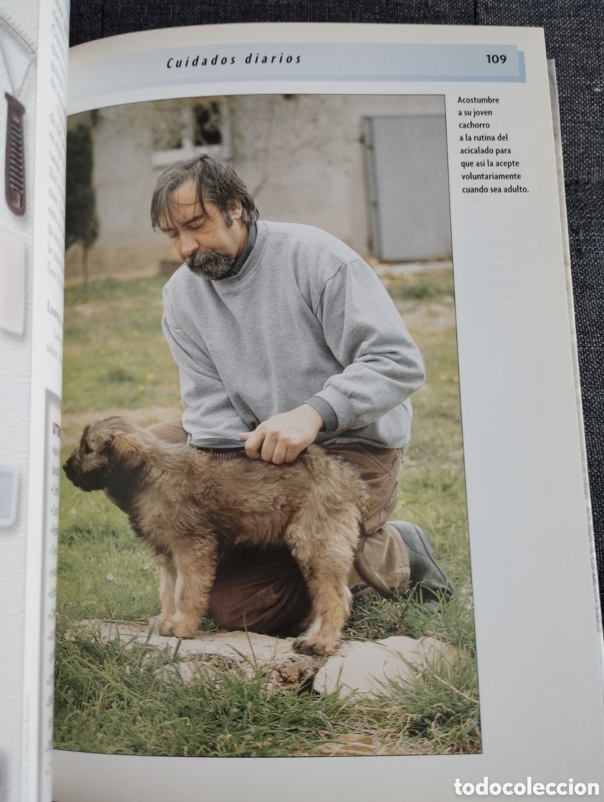 Libros de segunda mano: GOS DATURA (XAVIER ANDREU I BARTROL&Iacute;) - Foto 4