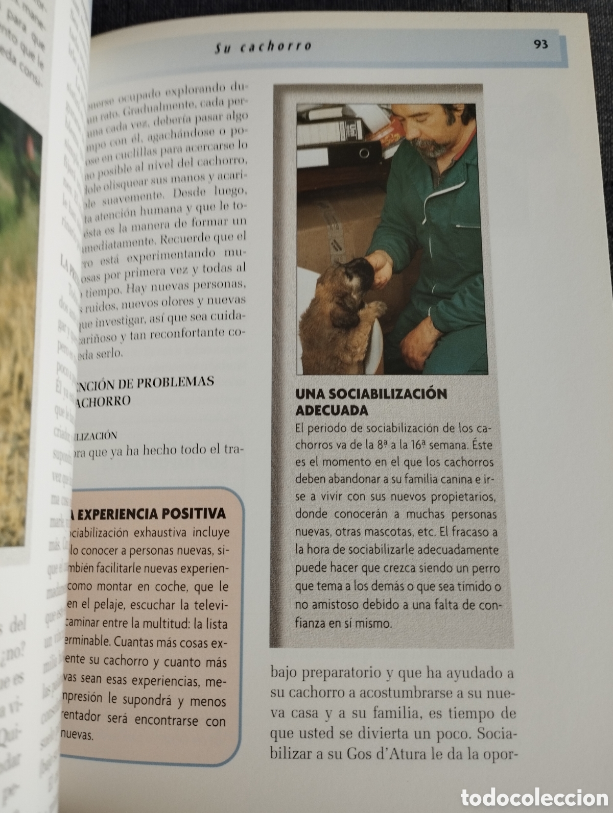 Libros de segunda mano: GOS DATURA (XAVIER ANDREU I BARTROL&Iacute;) - Foto 5