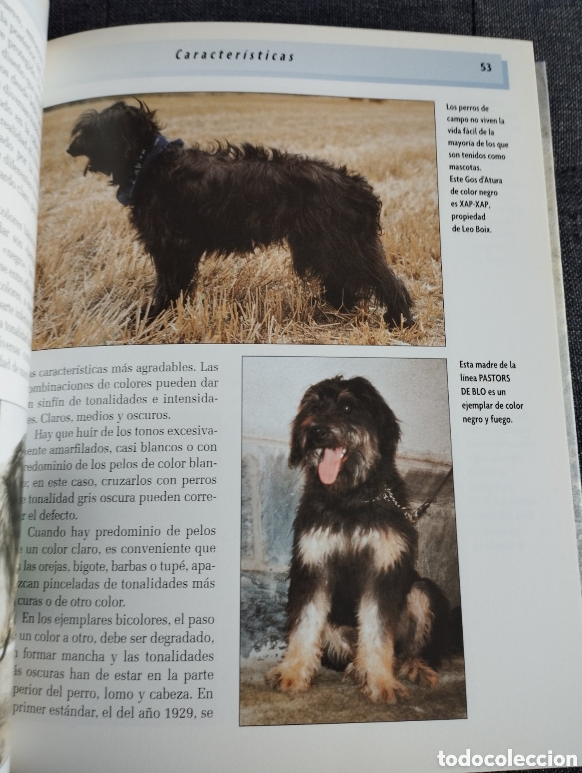 Libros de segunda mano: GOS DATURA (XAVIER ANDREU I BARTROL&Iacute;) - Foto 6