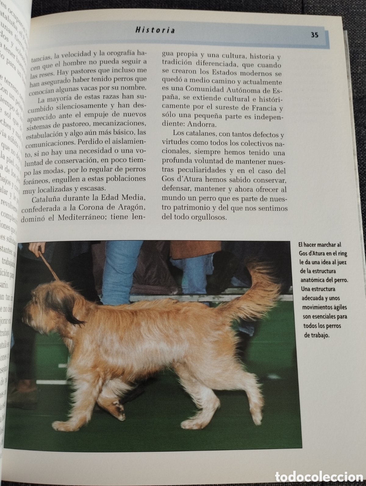 Libros de segunda mano: GOS DATURA (XAVIER ANDREU I BARTROL&Iacute;) - Foto 7