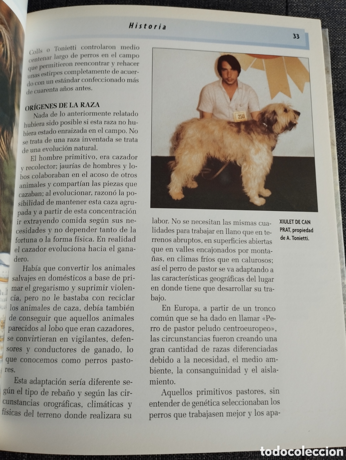 Libros de segunda mano: GOS DATURA (XAVIER ANDREU I BARTROL&Iacute;) - Foto 8