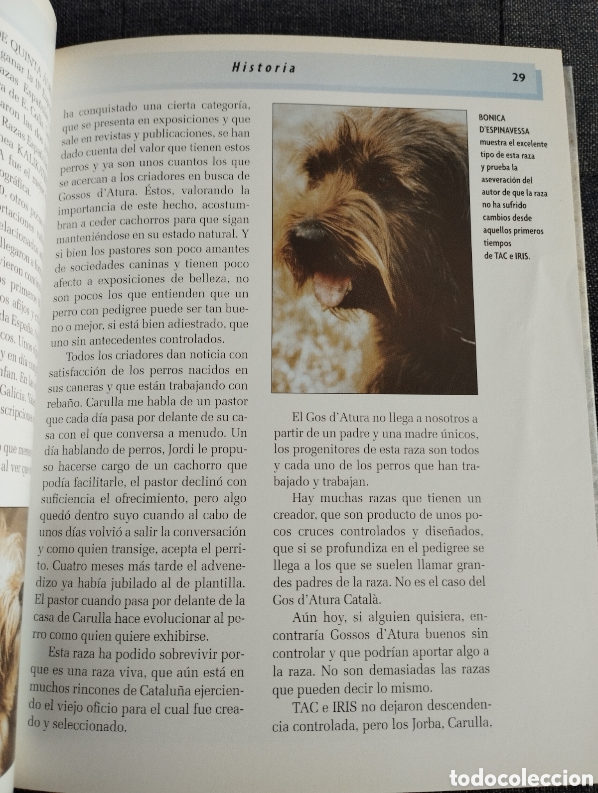 Libros de segunda mano: GOS DATURA (XAVIER ANDREU I BARTROL&Iacute;) - Foto 9