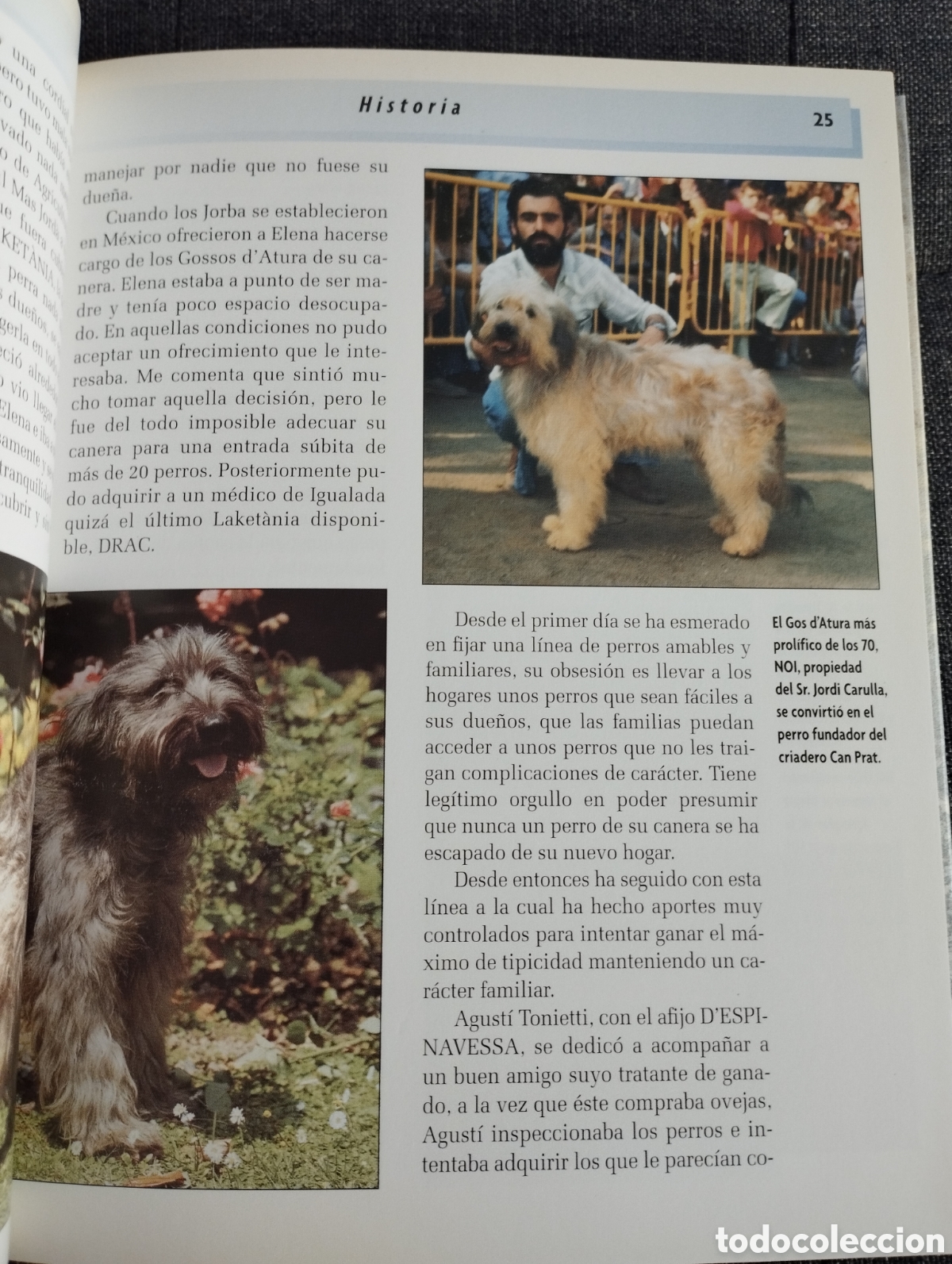 Libros de segunda mano: GOS DATURA (XAVIER ANDREU I BARTROL&Iacute;) - Foto 10