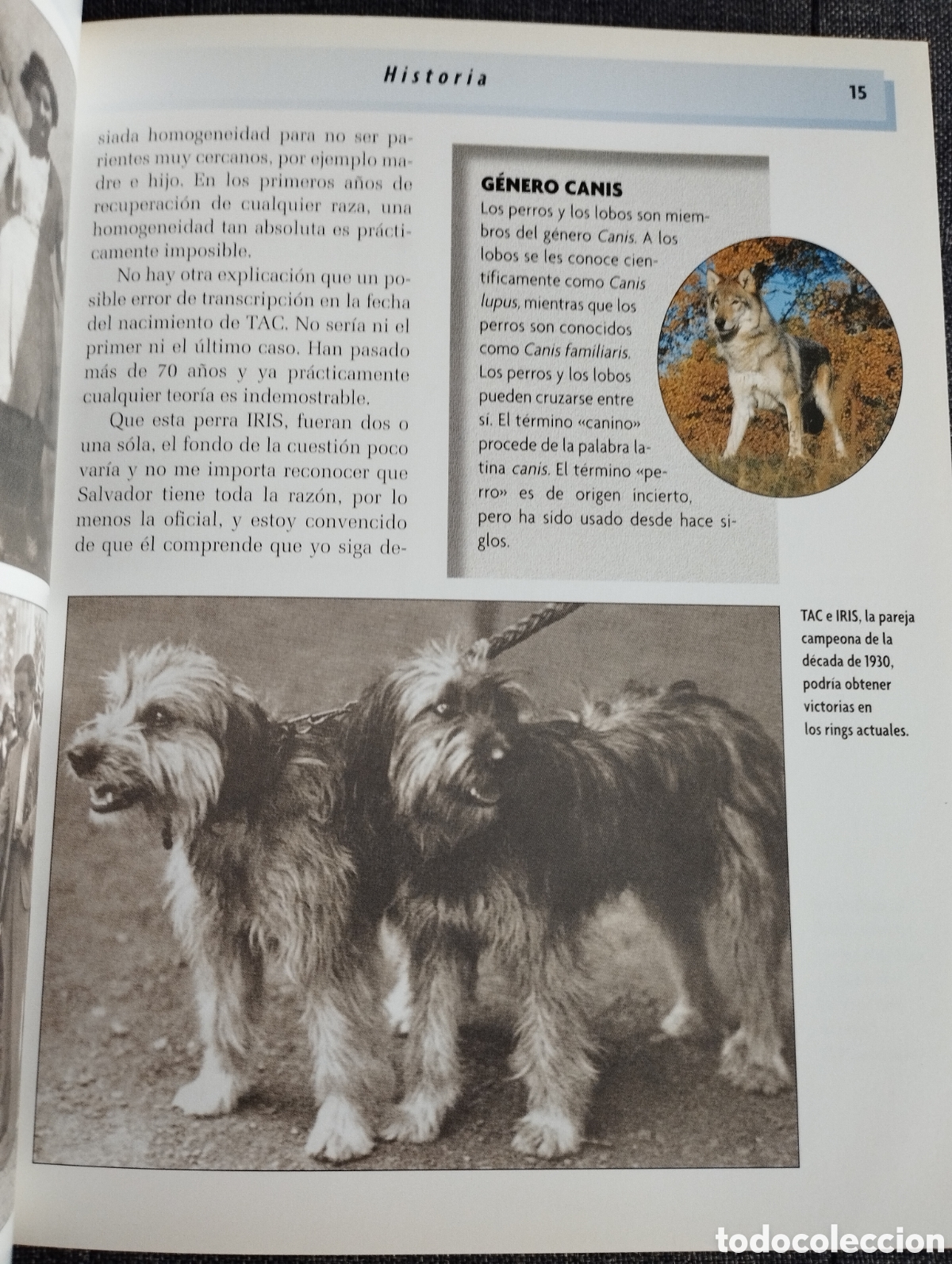 Libros de segunda mano: GOS DATURA (XAVIER ANDREU I BARTROL&Iacute;) - Foto 11