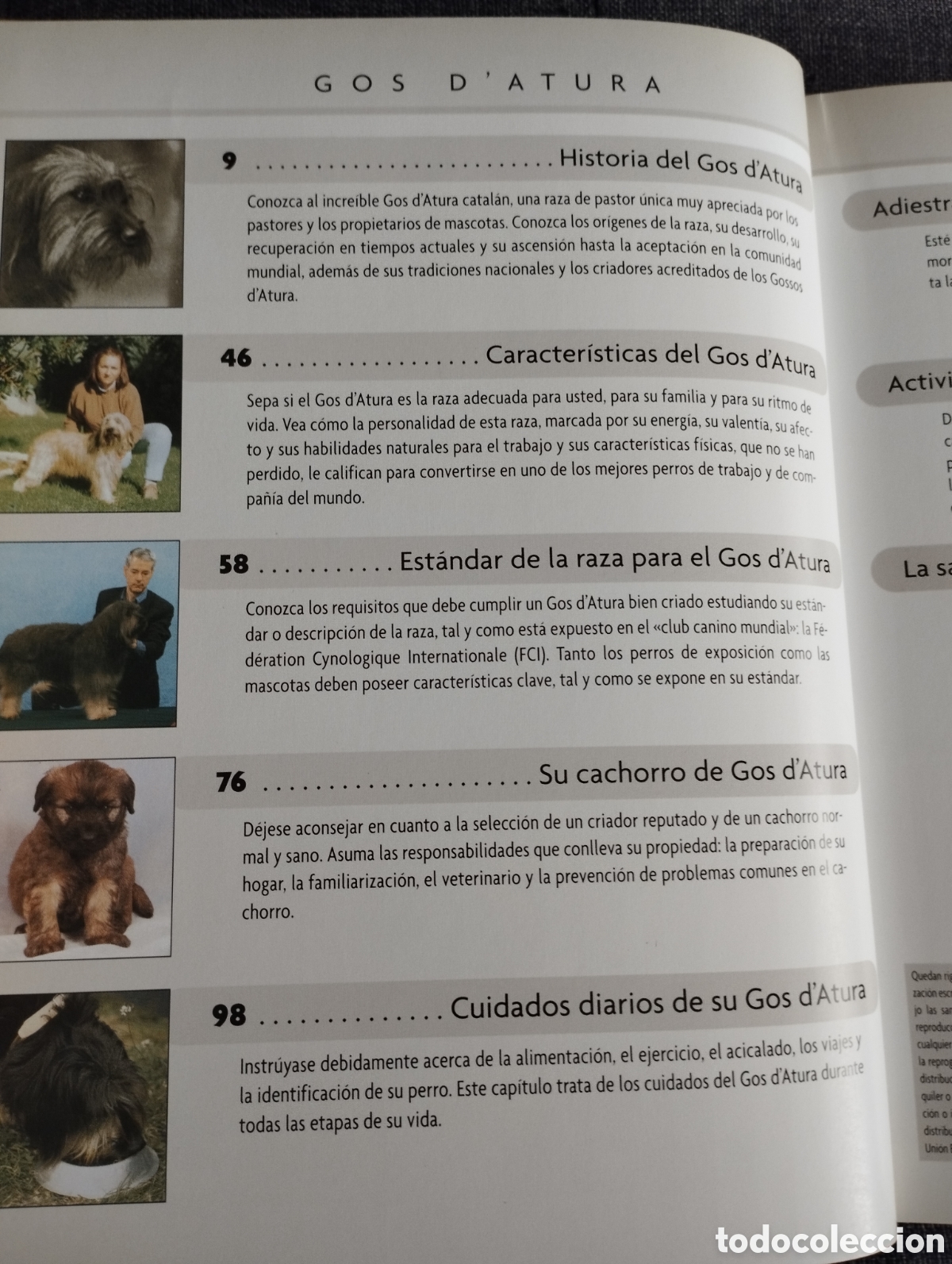 Libros de segunda mano: GOS DATURA (XAVIER ANDREU I BARTROL&Iacute;) - Foto 2