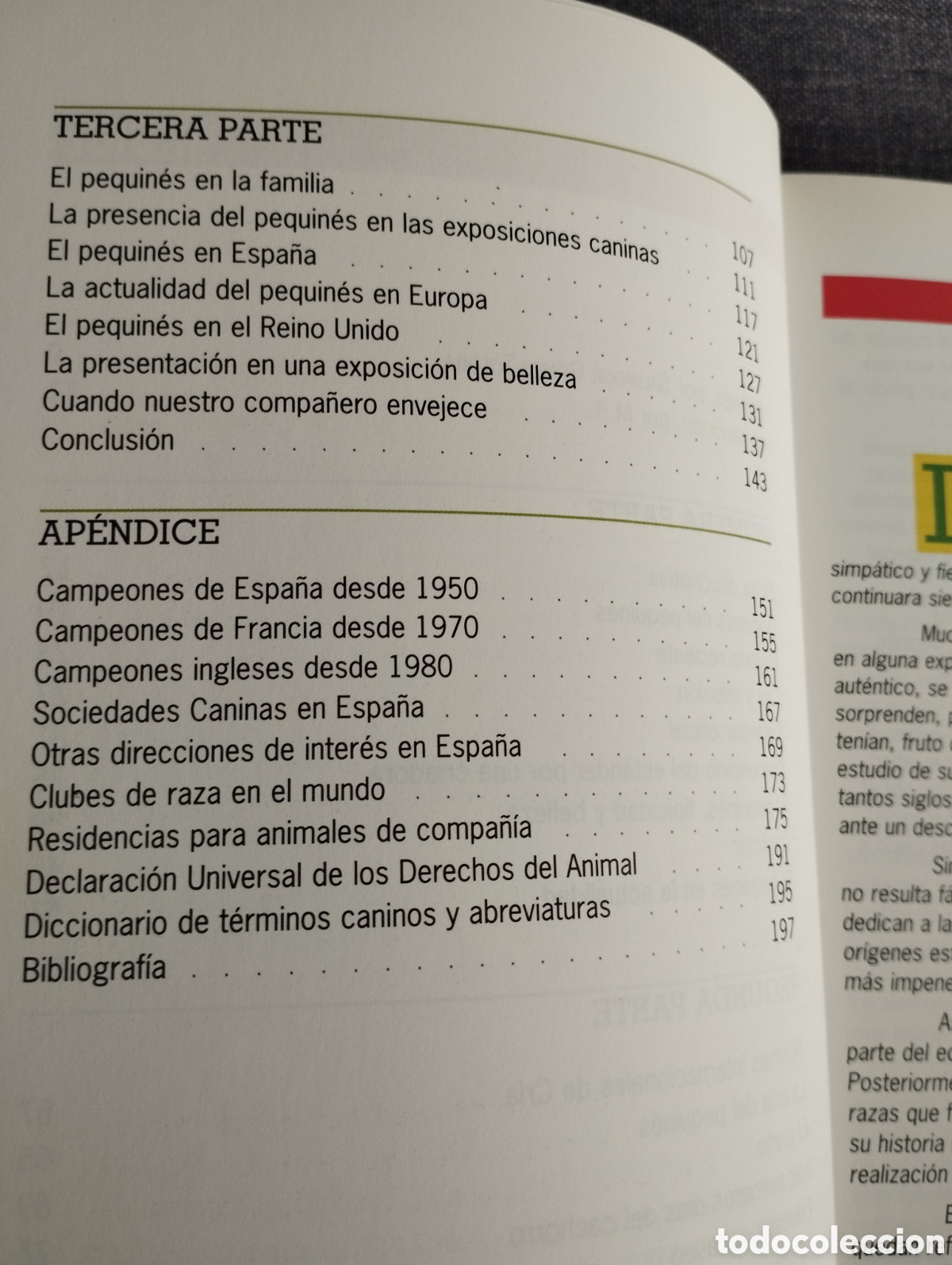 Libros de segunda mano: EL NUEVO LIBRO DEL PEQUIN&Eacute;S (MONICA BEDMAR) - Foto 4