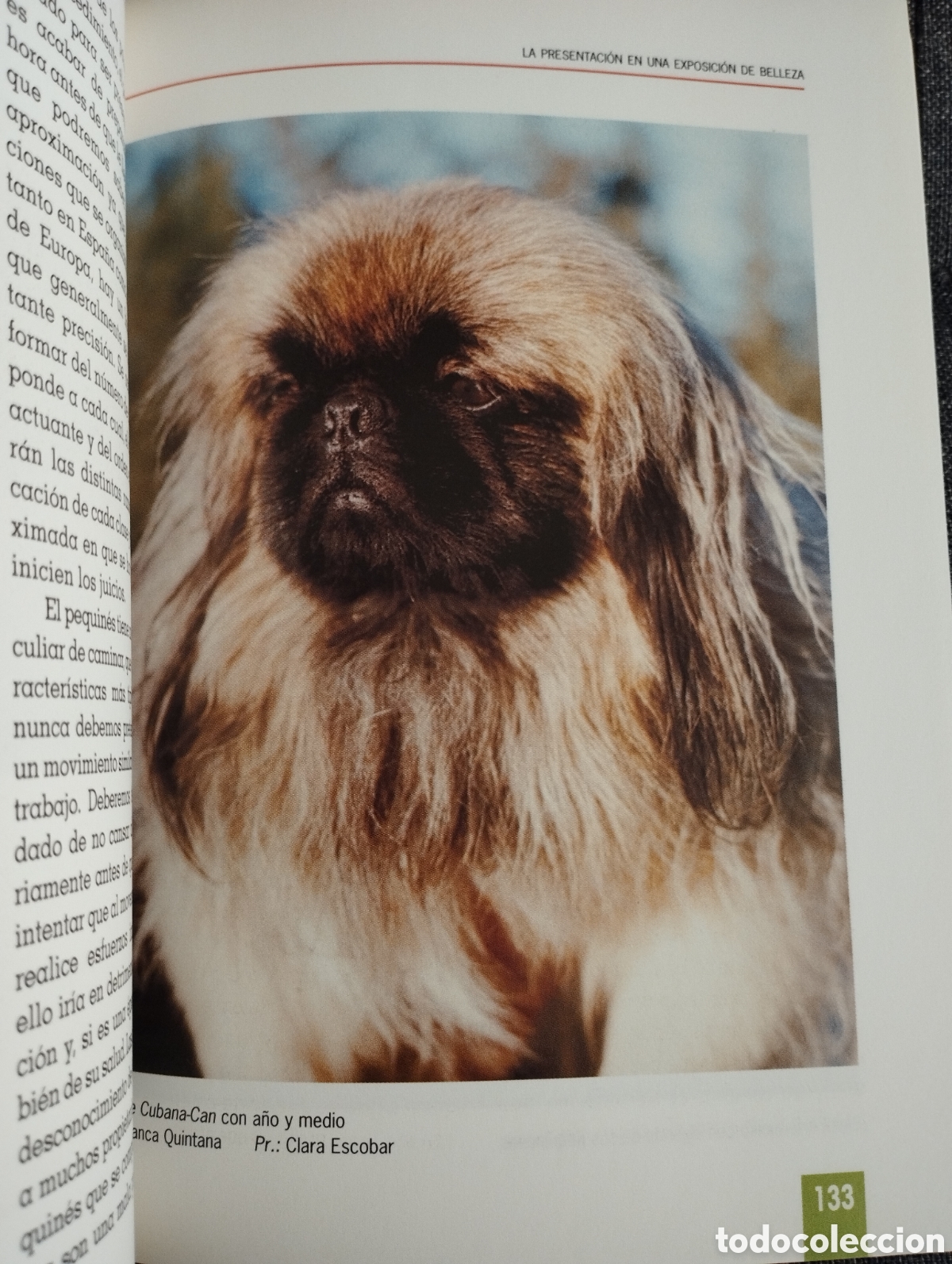 Libros de segunda mano: EL NUEVO LIBRO DEL PEQUIN&Eacute;S (MONICA BEDMAR) - Foto 5