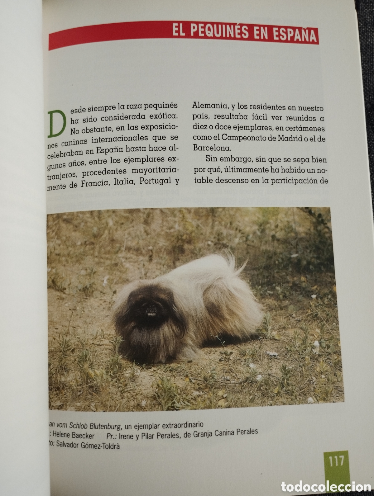 Libros de segunda mano: EL NUEVO LIBRO DEL PEQUIN&Eacute;S (MONICA BEDMAR) - Foto 6