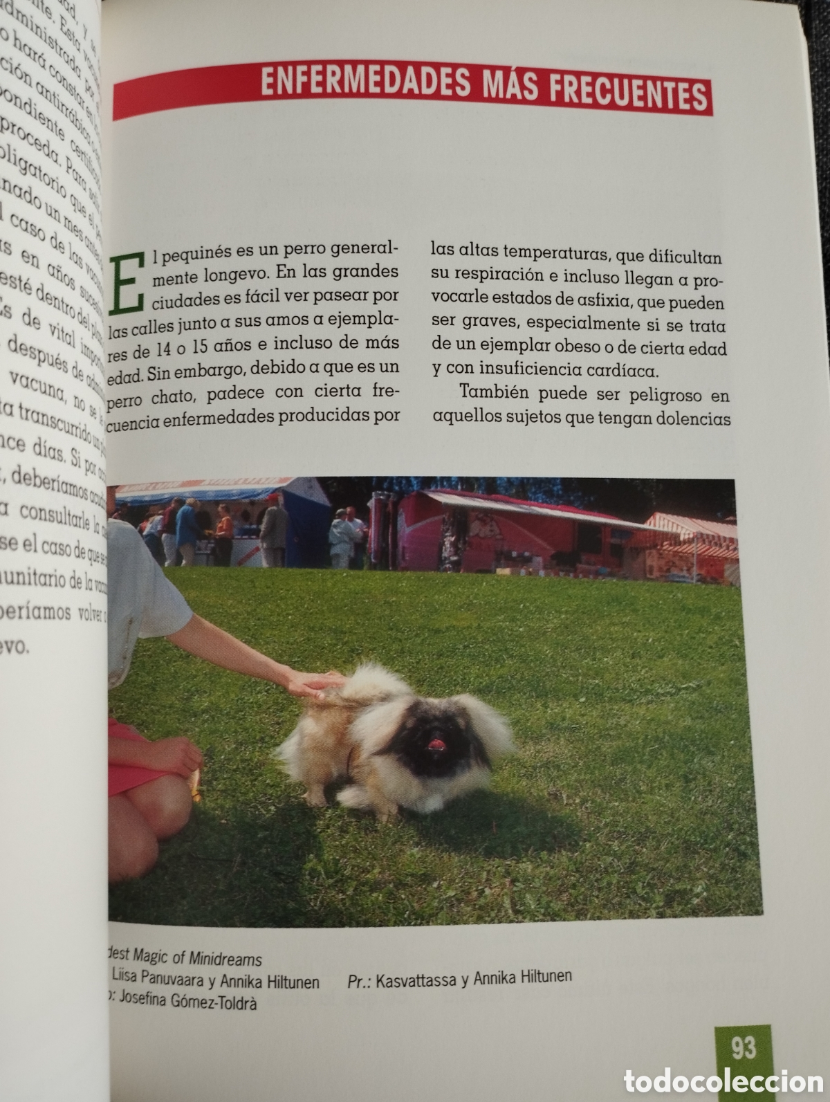 Libros de segunda mano: EL NUEVO LIBRO DEL PEQUIN&Eacute;S (MONICA BEDMAR) - Foto 7
