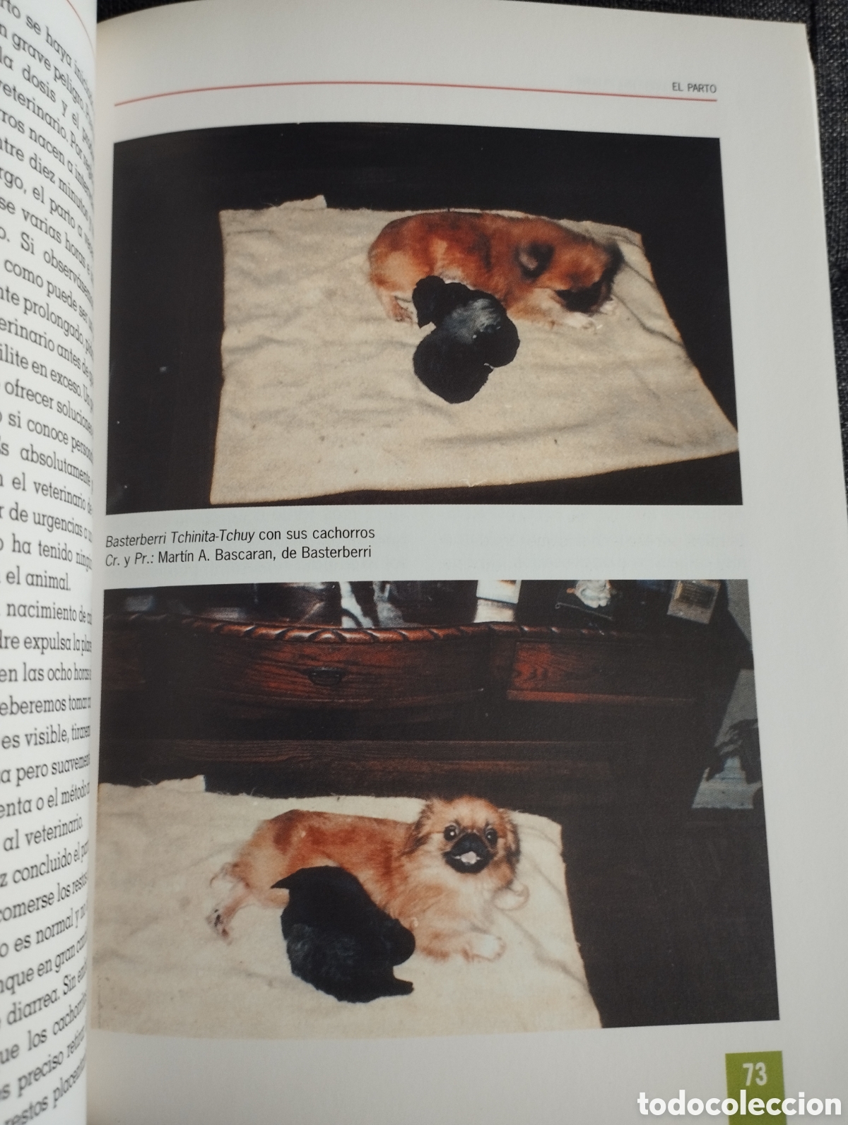 Libros de segunda mano: EL NUEVO LIBRO DEL PEQUIN&Eacute;S (MONICA BEDMAR) - Foto 8