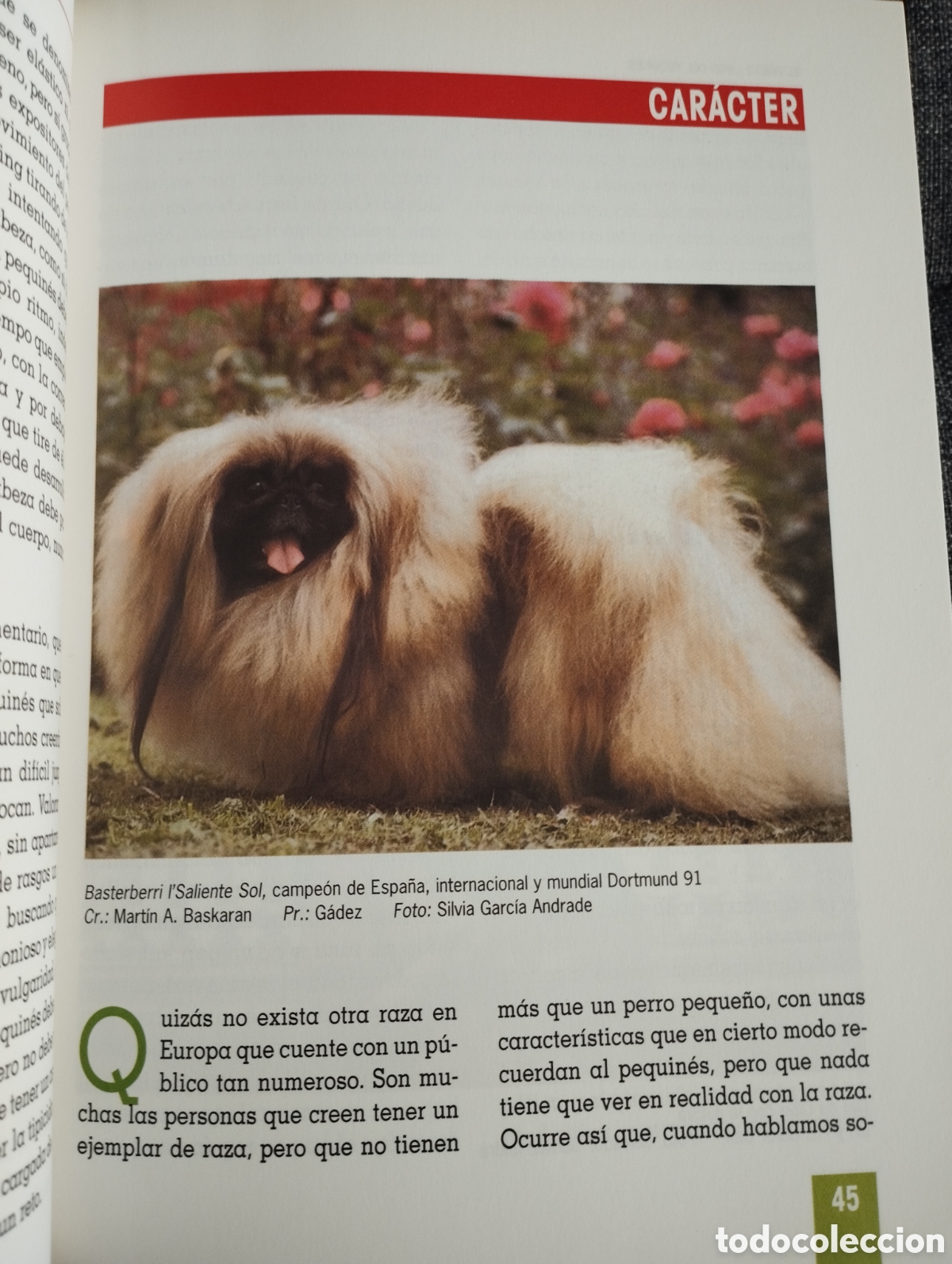 Libros de segunda mano: EL NUEVO LIBRO DEL PEQUIN&Eacute;S (MONICA BEDMAR) - Foto 9