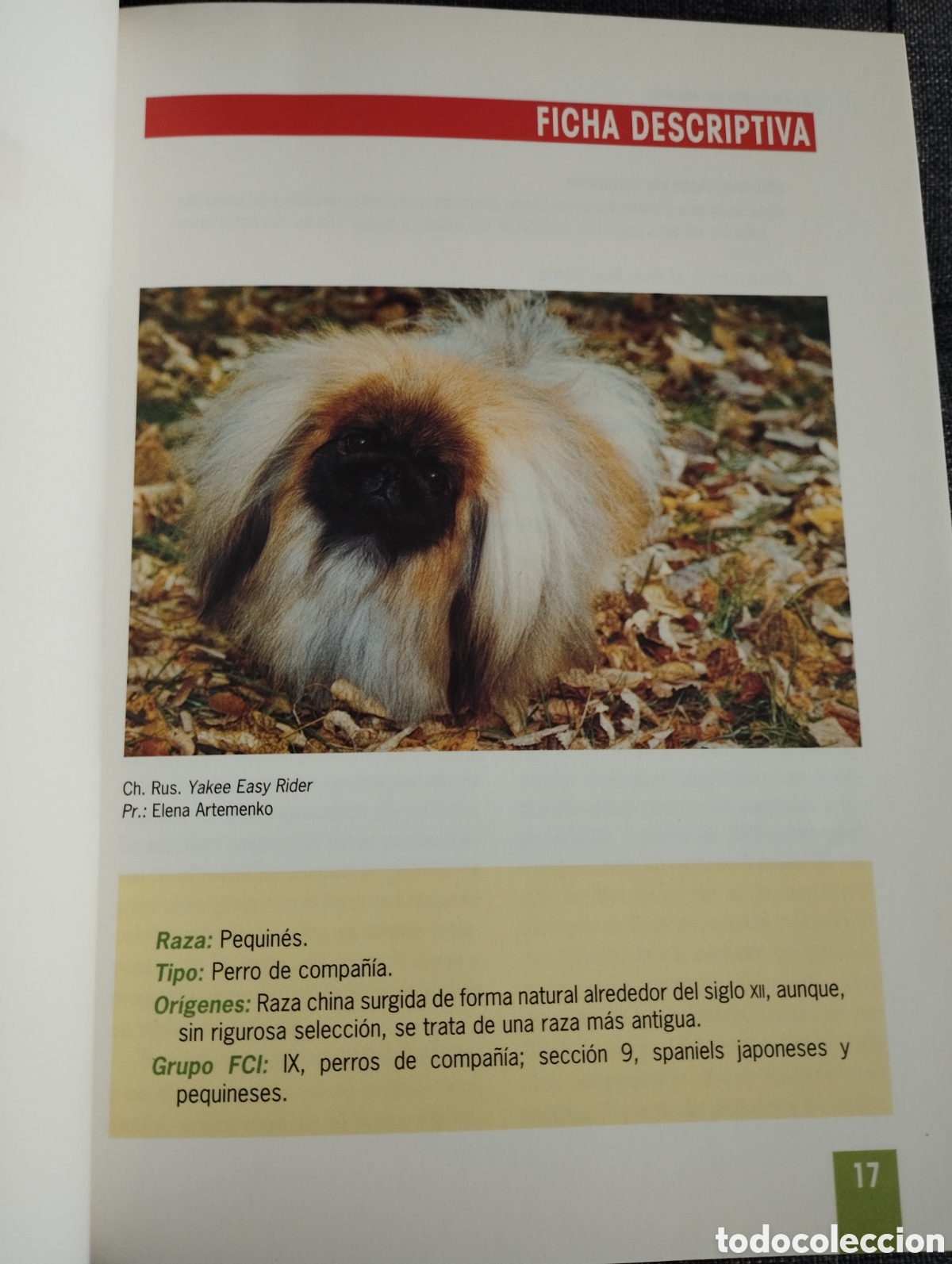 Libros de segunda mano: EL NUEVO LIBRO DEL PEQUIN&Eacute;S (MONICA BEDMAR) - Foto 11