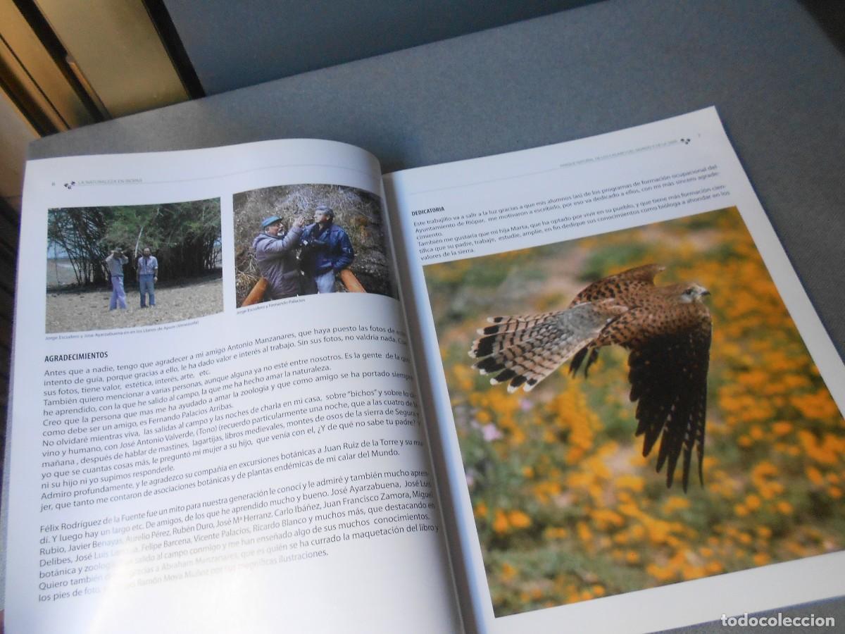 Libros de segunda mano: LA NATURALEZA EN RIOPAR - Foto 6