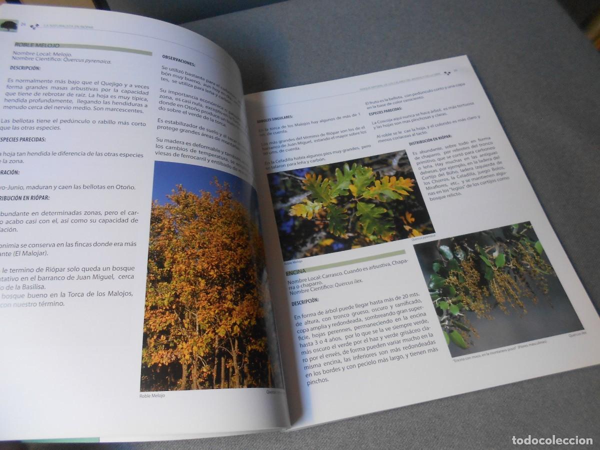 Libros de segunda mano: LA NATURALEZA EN RIOPAR - Foto 7