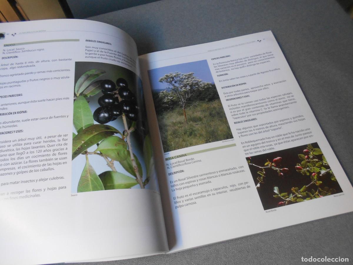 Libros de segunda mano: LA NATURALEZA EN RIOPAR - Foto 8