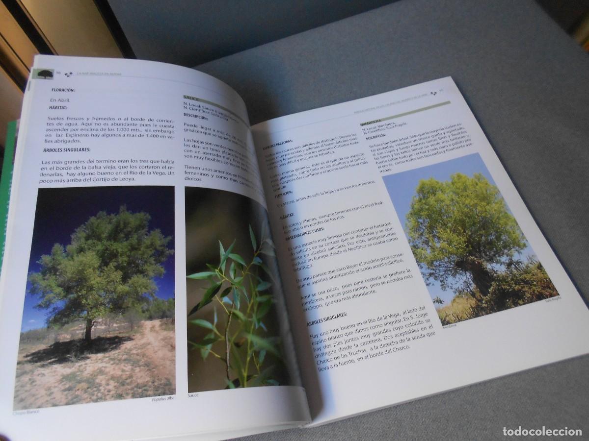 Libros de segunda mano: LA NATURALEZA EN RIOPAR - Foto 9