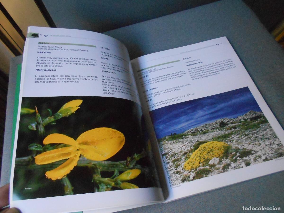 Libros de segunda mano: LA NATURALEZA EN RIOPAR - Foto 10