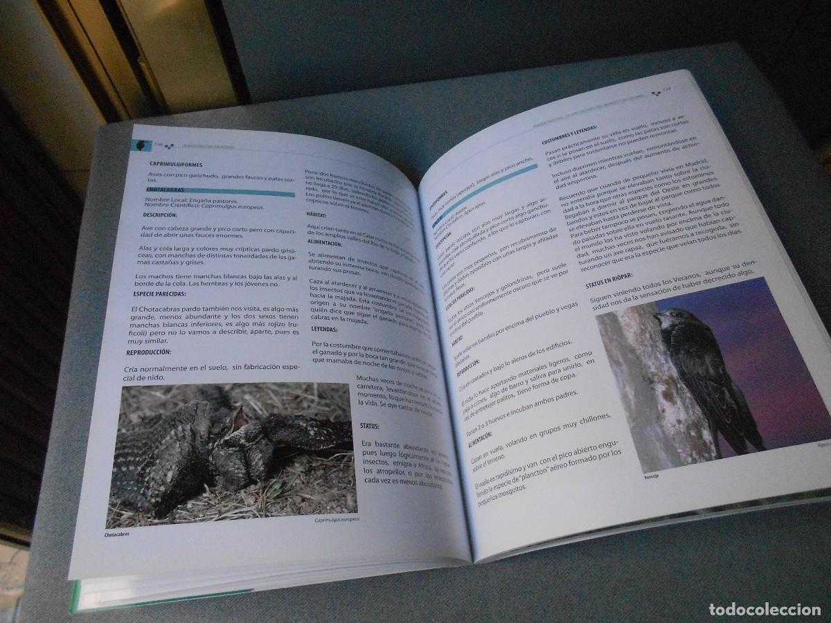 Libros de segunda mano: LA NATURALEZA EN RIOPAR - Foto 12