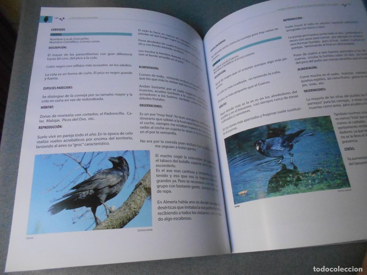 Libros de segunda mano: LA NATURALEZA EN RIOPAR - Foto 13
