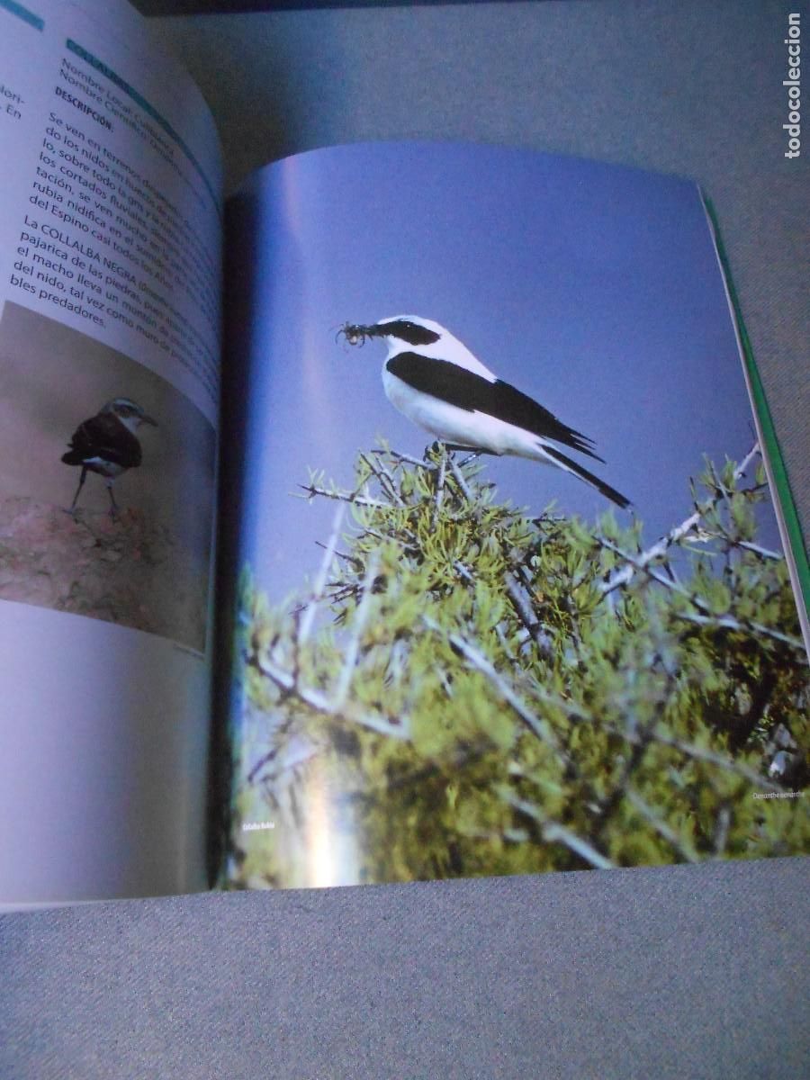 Libros de segunda mano: LA NATURALEZA EN RIOPAR - Foto 14