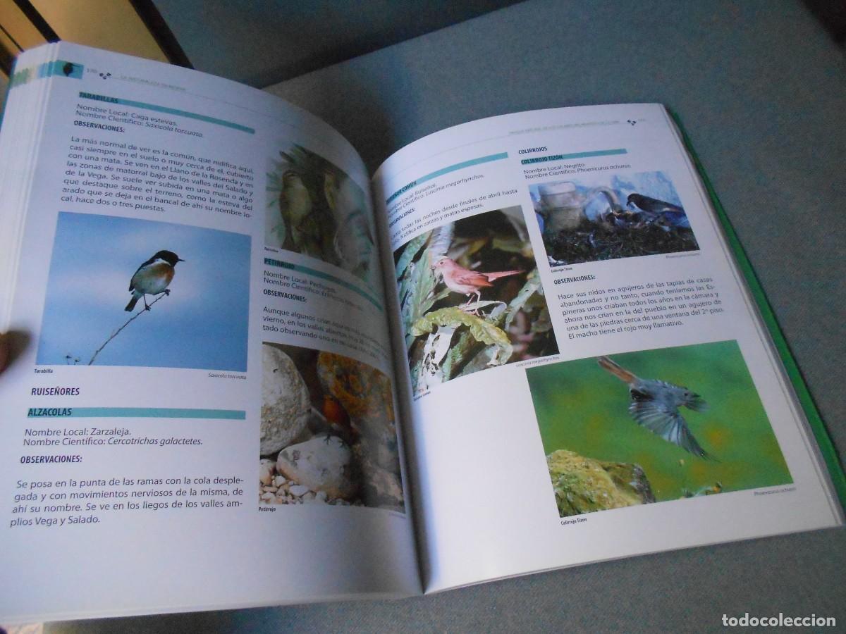 Libros de segunda mano: LA NATURALEZA EN RIOPAR - Foto 15