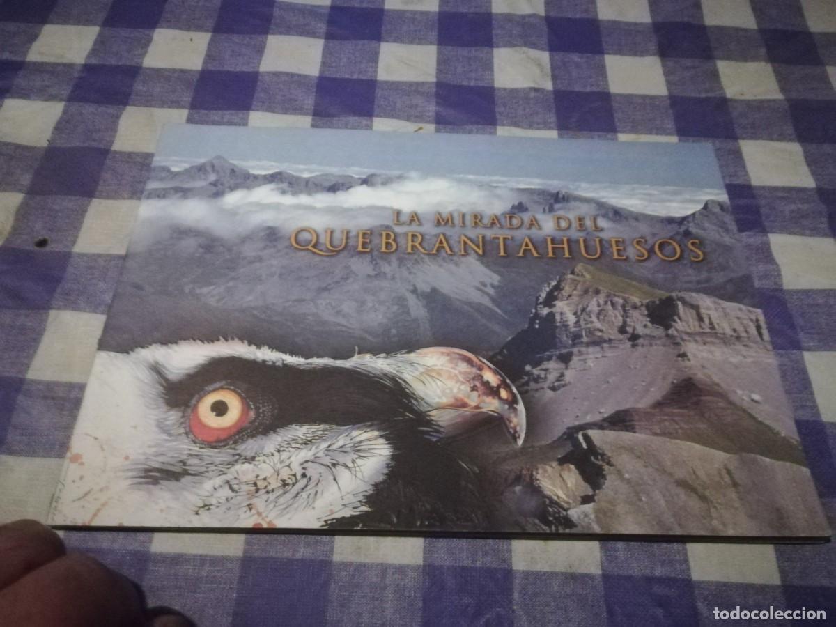 Libros de segunda mano: LA MIRADA DEL QUEBRANTAHUESOS / / CJA 202 - Foto 1