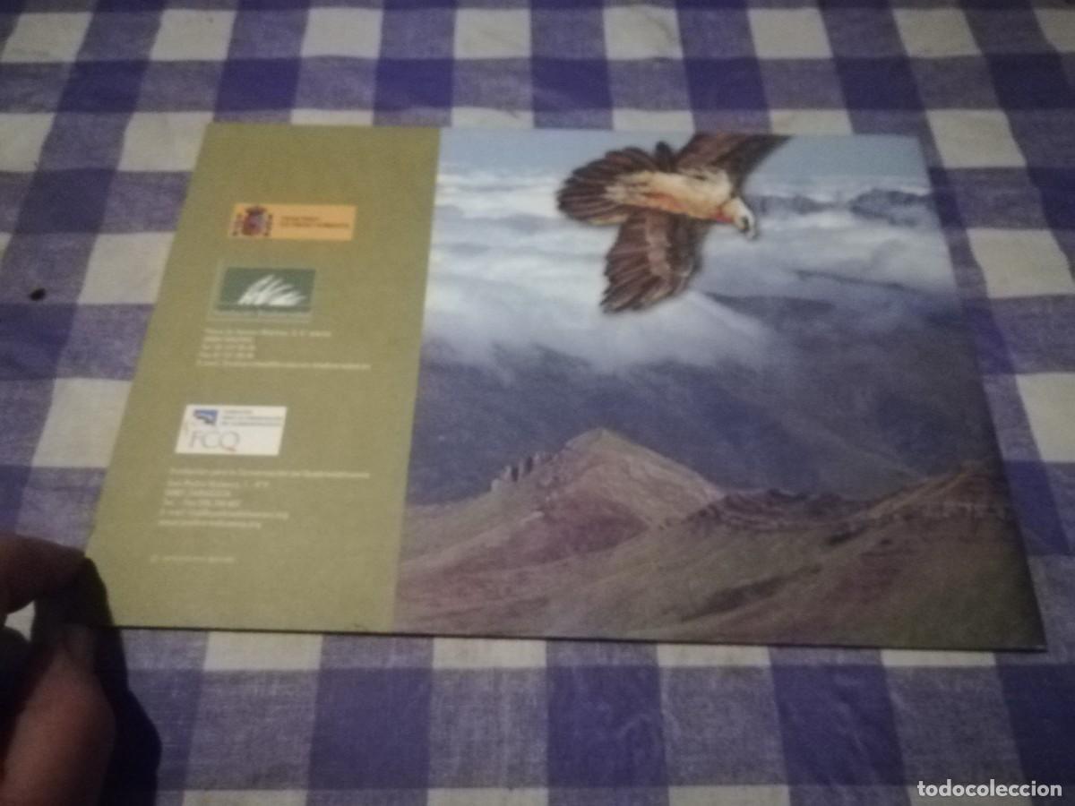Libros de segunda mano: LA MIRADA DEL QUEBRANTAHUESOS / / CJA 202 - Foto 2