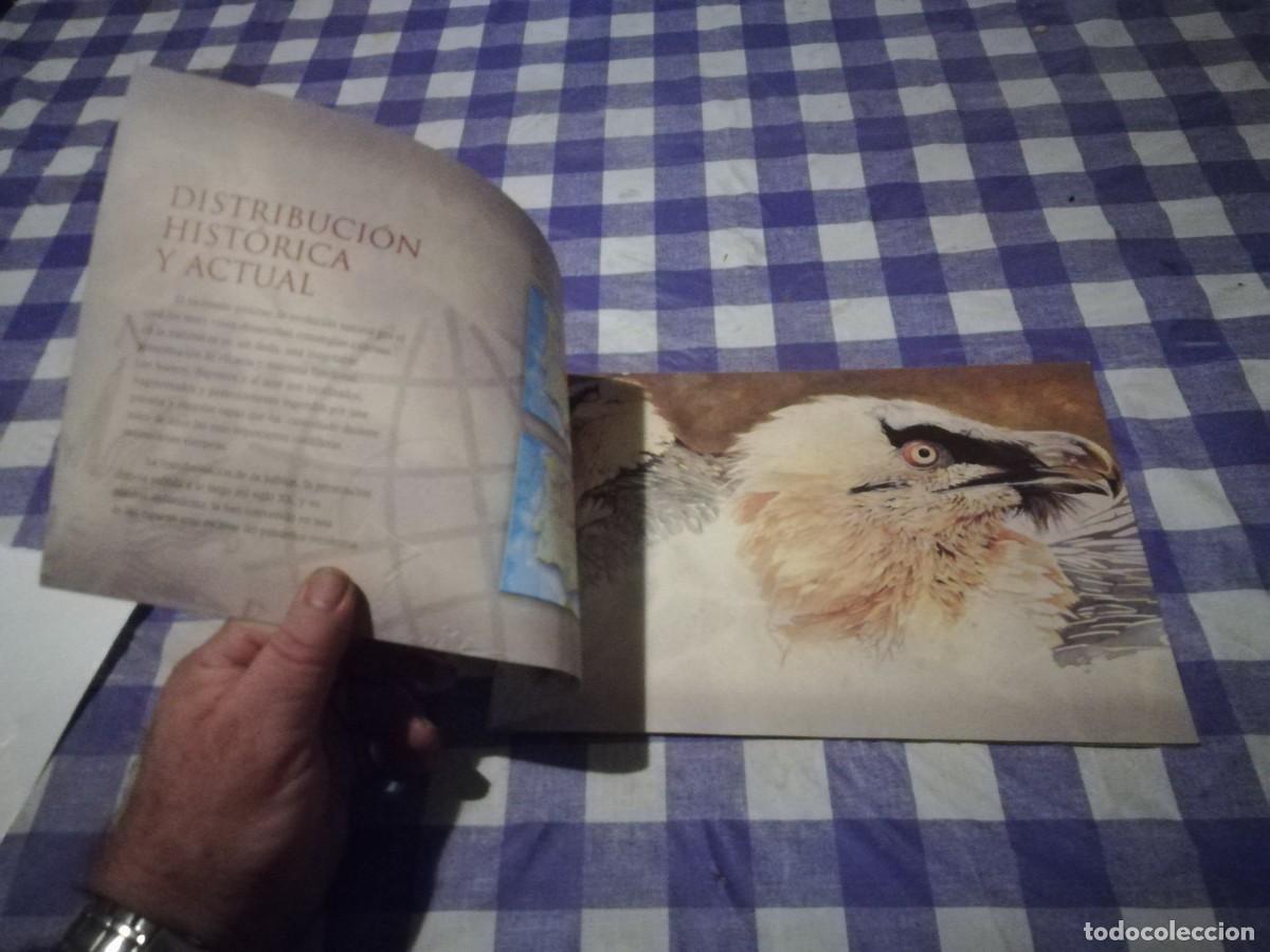 Libros de segunda mano: LA MIRADA DEL QUEBRANTAHUESOS / / CJA 202 - Foto 4