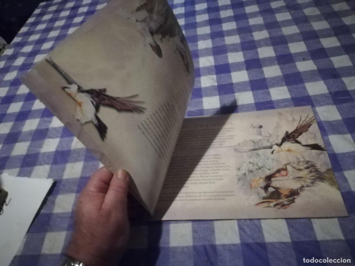 Libros de segunda mano: LA MIRADA DEL QUEBRANTAHUESOS / / CJA 202 - Foto 5