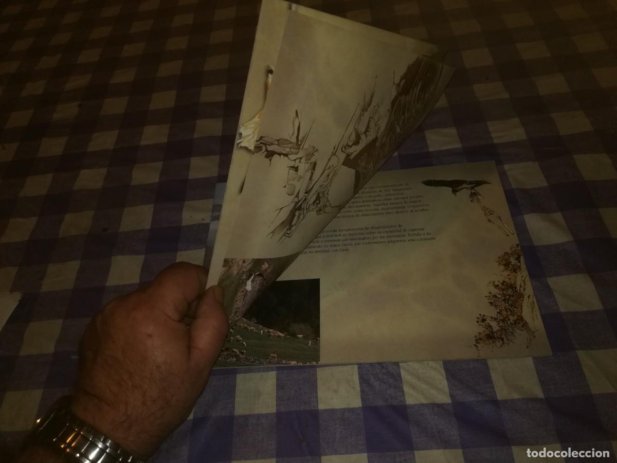 Libros de segunda mano: LA MIRADA DEL QUEBRANTAHUESOS / / CJA 202 - Foto 6