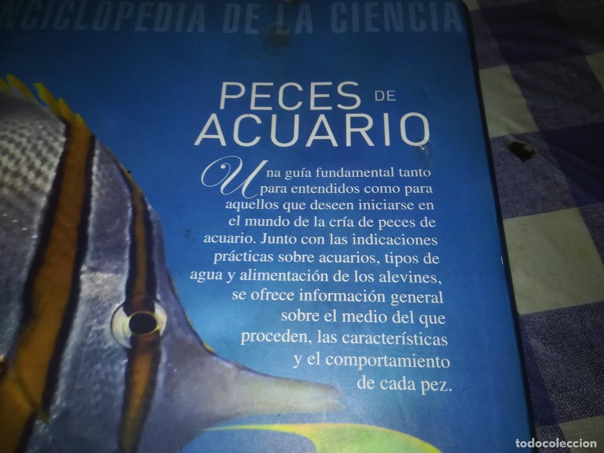 Libros de segunda mano: PECES DE ACUARIO / IVAN PETROVICKY / CJA 202 / TIKAL - Foto 3