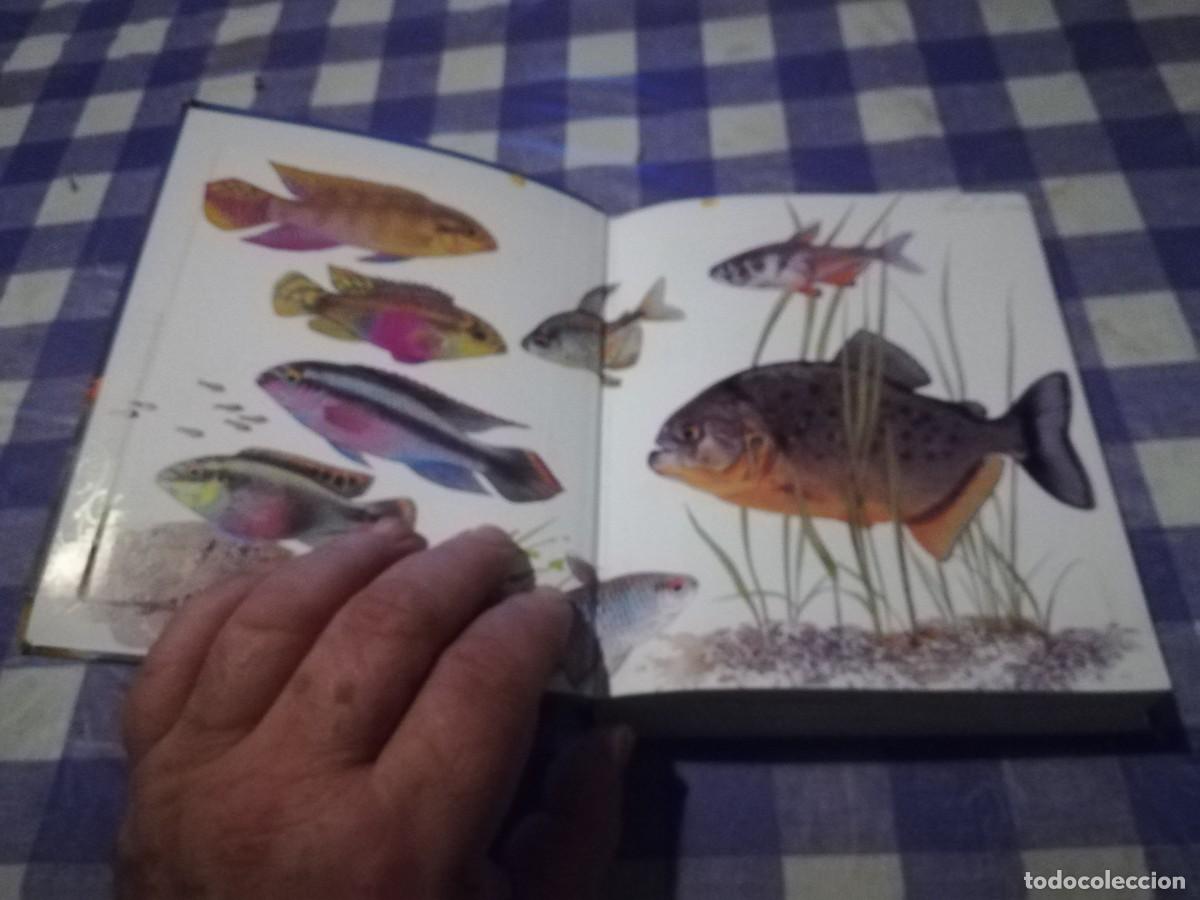 Libros de segunda mano: PECES DE ACUARIO / IVAN PETROVICKY / CJA 202 / TIKAL - Foto 4