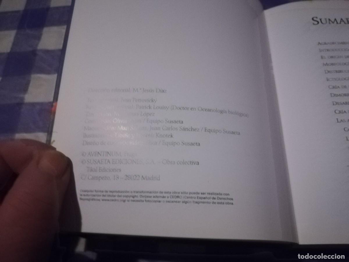 Libros de segunda mano: PECES DE ACUARIO / IVAN PETROVICKY / CJA 202 / TIKAL - Foto 7