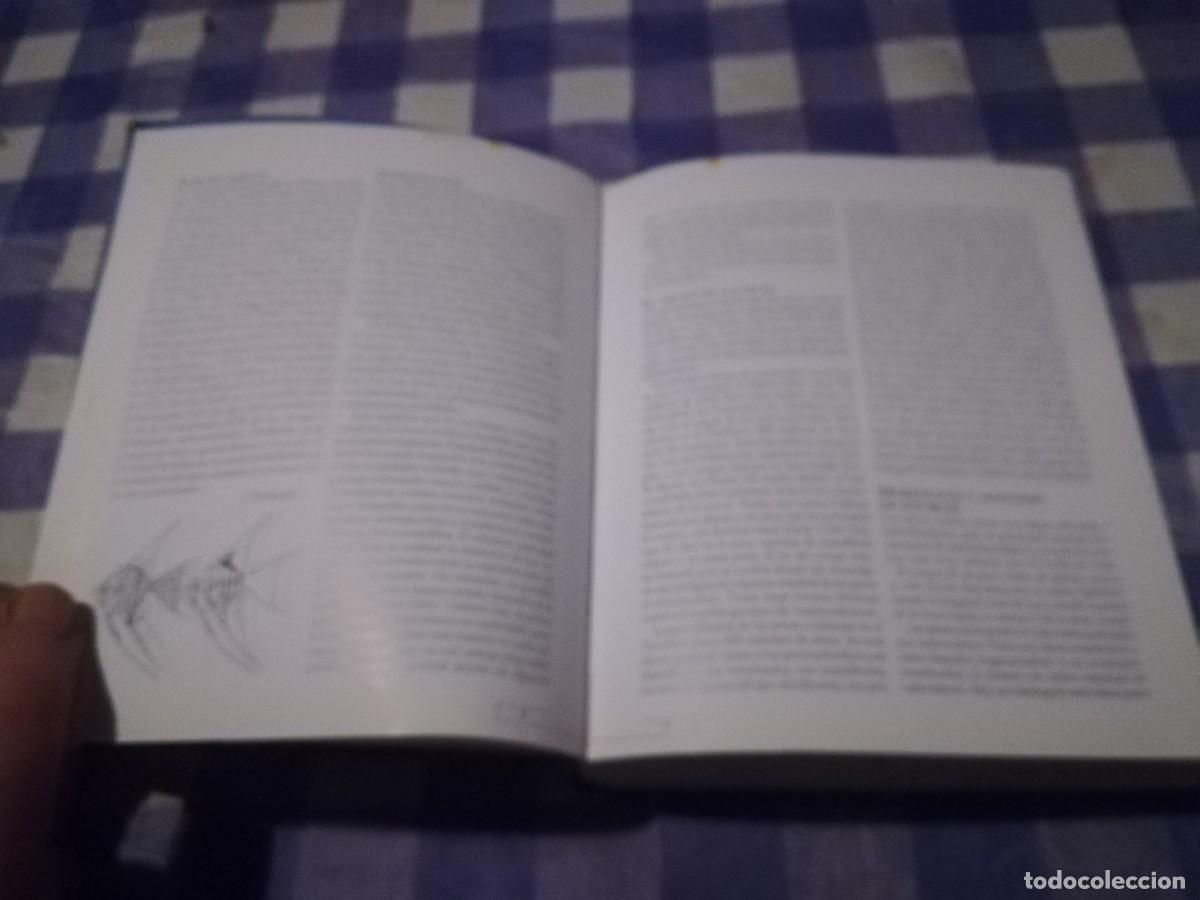 Libros de segunda mano: PECES DE ACUARIO / IVAN PETROVICKY / CJA 202 / TIKAL - Foto 9