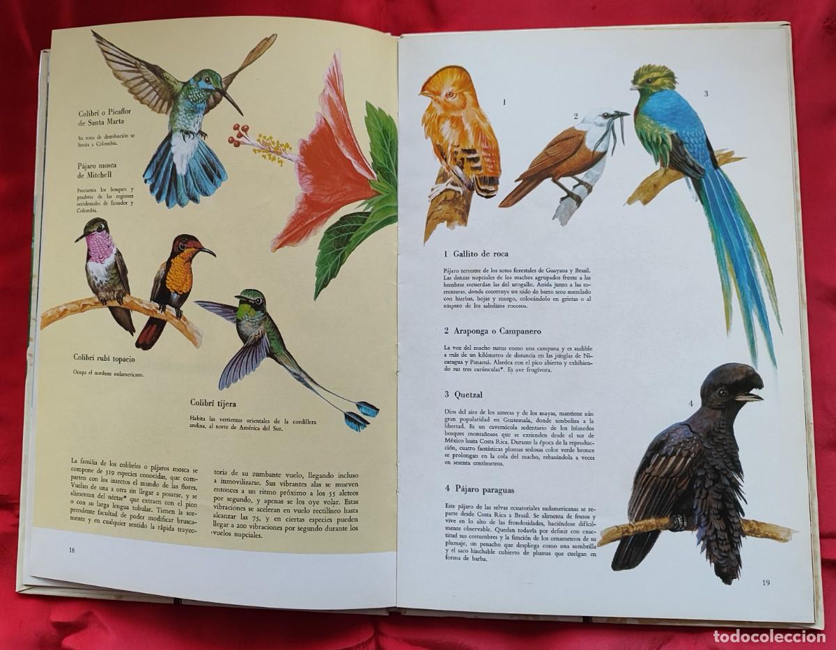Libros de segunda mano: P&Aacute;JAROS DE AM&Eacute;RICA, OCEAN&Iacute;A Y LA ANT&Aacute;RTIDA. - Foto 4