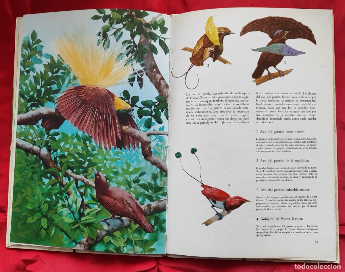 Libros de segunda mano: P&Aacute;JAROS DE AM&Eacute;RICA, OCEAN&Iacute;A Y LA ANT&Aacute;RTIDA. - Foto 5