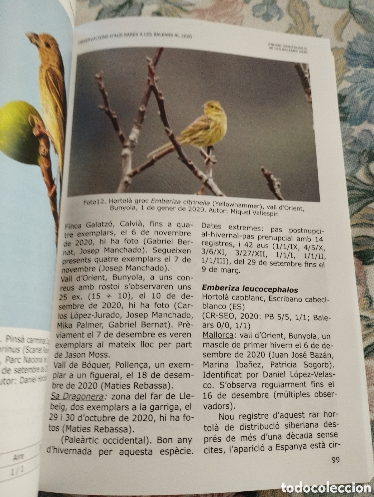 Libros de segunda mano: ANUARI ORNITOL&Ograve;GIC DE LES BALEARS, ANY 2020. VOLUM 35 - Foto 2
