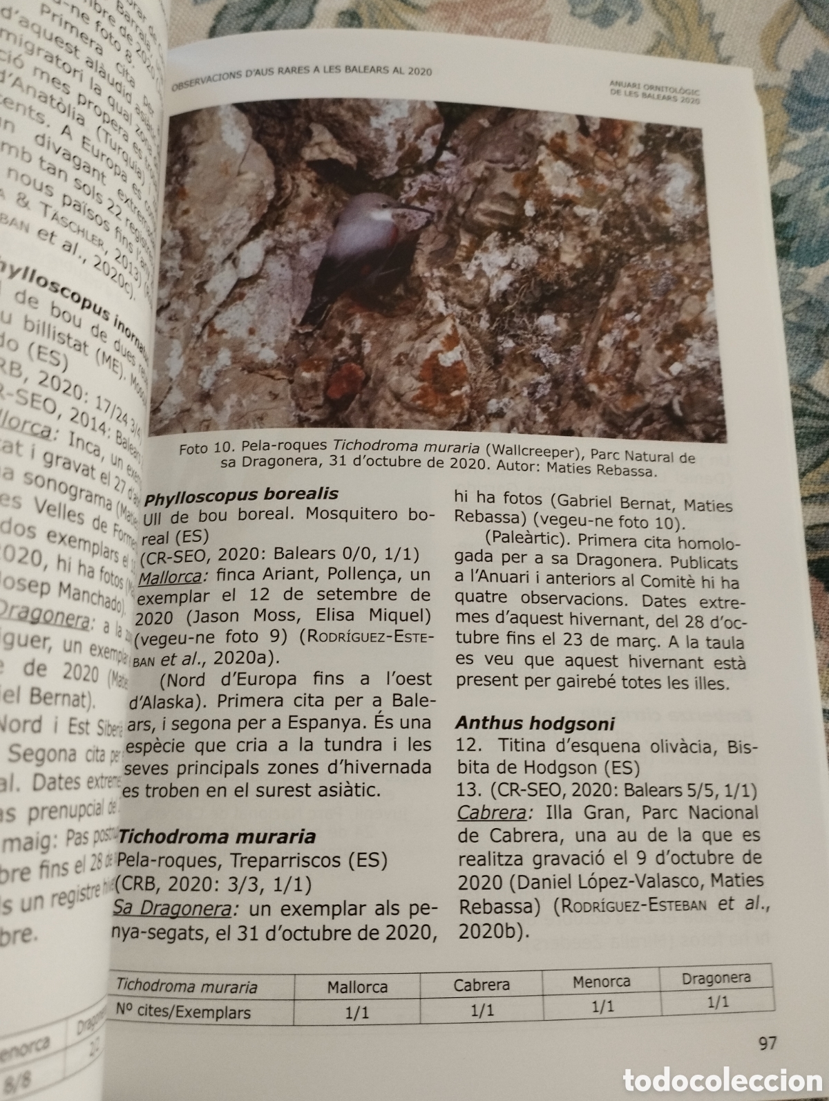 Libros de segunda mano: ANUARI ORNITOL&Ograve;GIC DE LES BALEARS, ANY 2020. VOLUM 35 - Foto 3