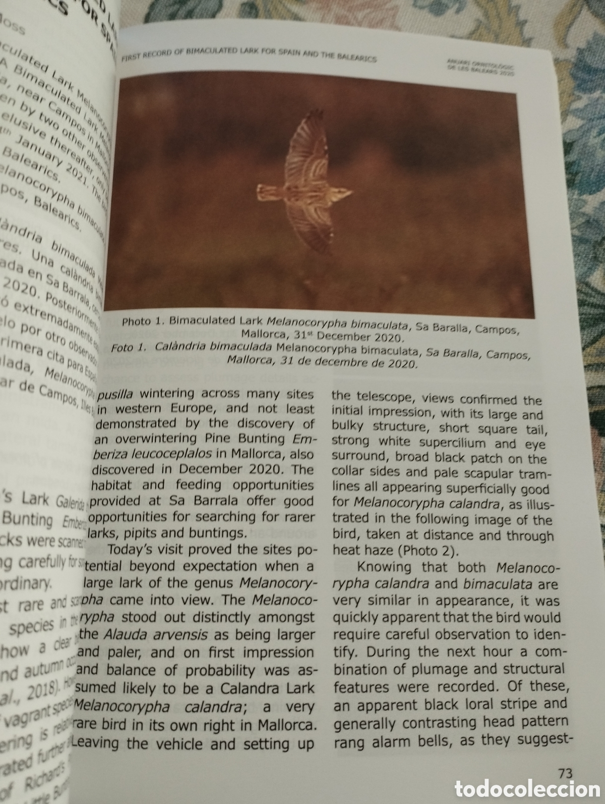 Libros de segunda mano: ANUARI ORNITOL&Ograve;GIC DE LES BALEARS, ANY 2020. VOLUM 35 - Foto 4
