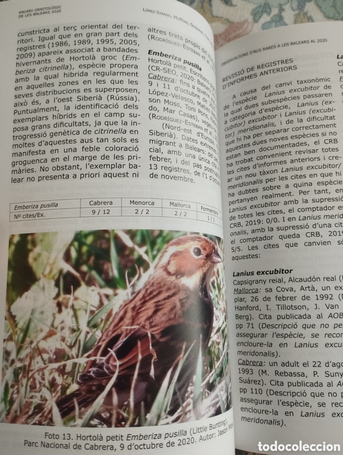 Libros de segunda mano: ANUARI ORNITOL&Ograve;GIC DE LES BALEARS, ANY 2020. VOLUM 35 - Foto 7