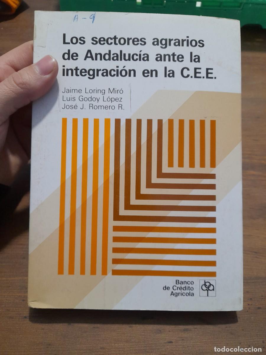 Libros de segunda mano: Libro Los sectores agrarios de Andaluc&iacute;a ante la integracion en la CEE C.E.E - Foto 1