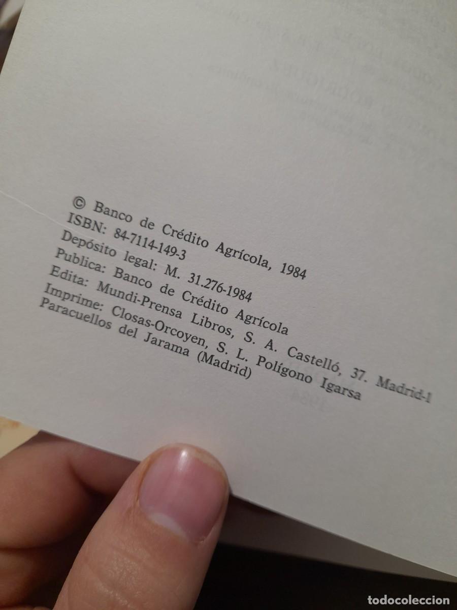 Libros de segunda mano: Libro Los sectores agrarios de Andaluc&iacute;a ante la integracion en la CEE C.E.E - Foto 4