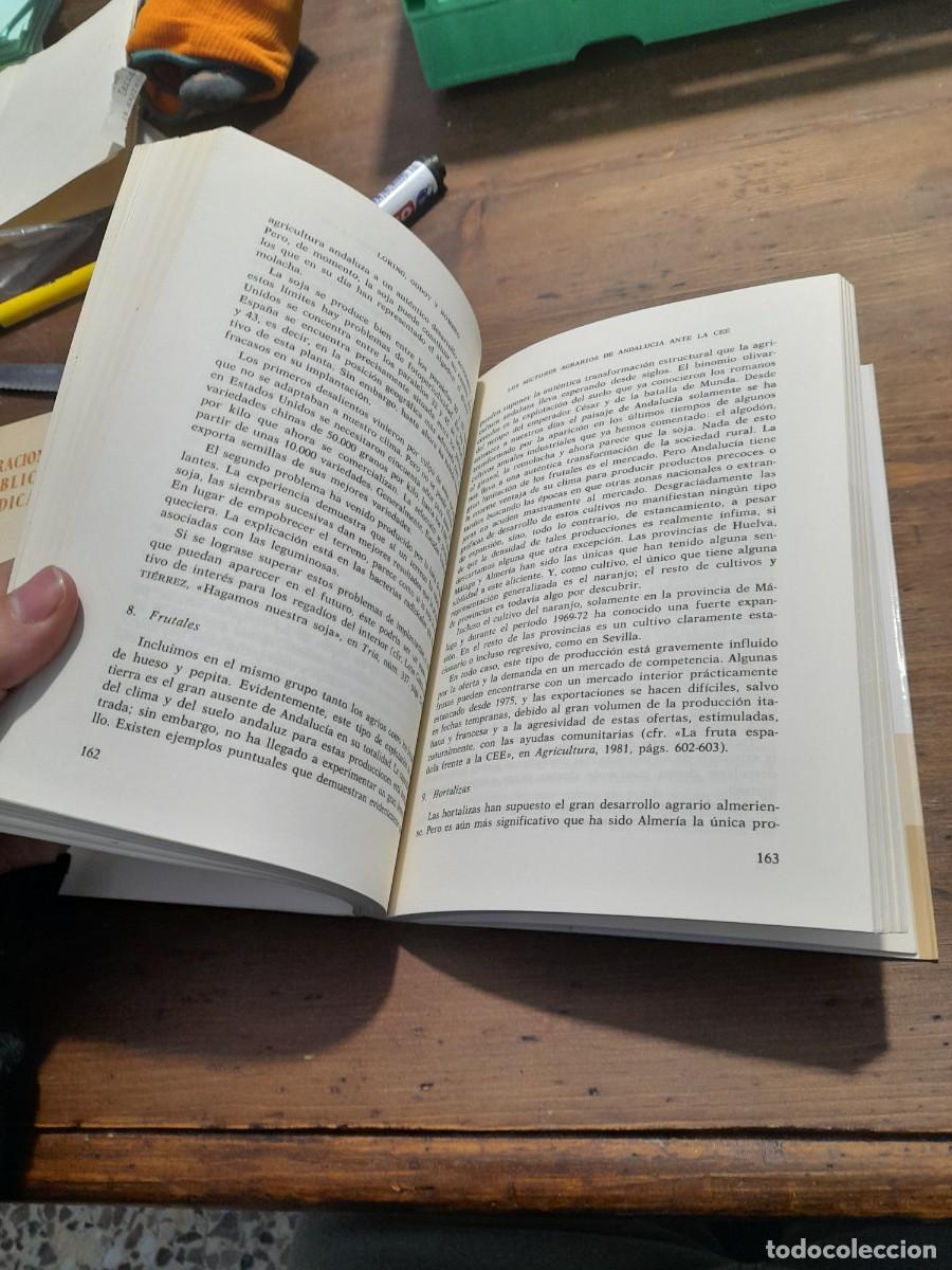 Libros de segunda mano: Libro Los sectores agrarios de Andaluc&iacute;a ante la integracion en la CEE C.E.E - Foto 5