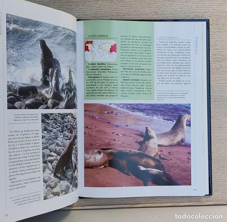 Libros de segunda mano: Tierra viva. MAM&Iacute;FEROS. Tomo II - Foto 2