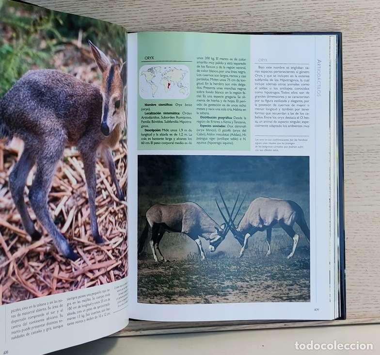 Libros de segunda mano: Tierra viva. MAM&Iacute;FEROS. Tomo III - Foto 2