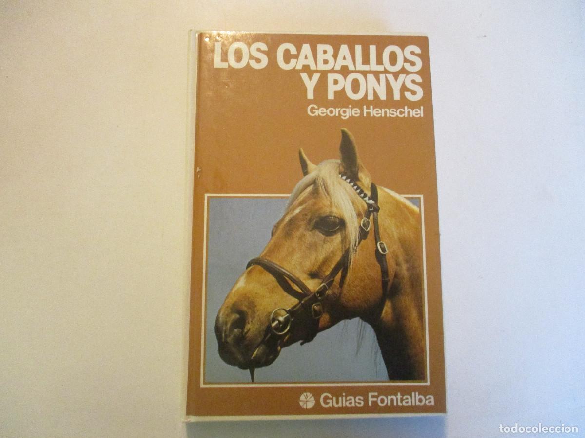 Libros de segunda mano: GEORGIR HENSCHEL Los caballos y ponys W24395 - Foto 1