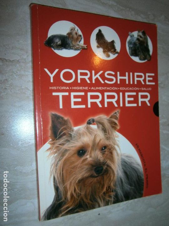 Libros de segunda mano: YORKSHIRE TERRIER - CG13 - Foto 1