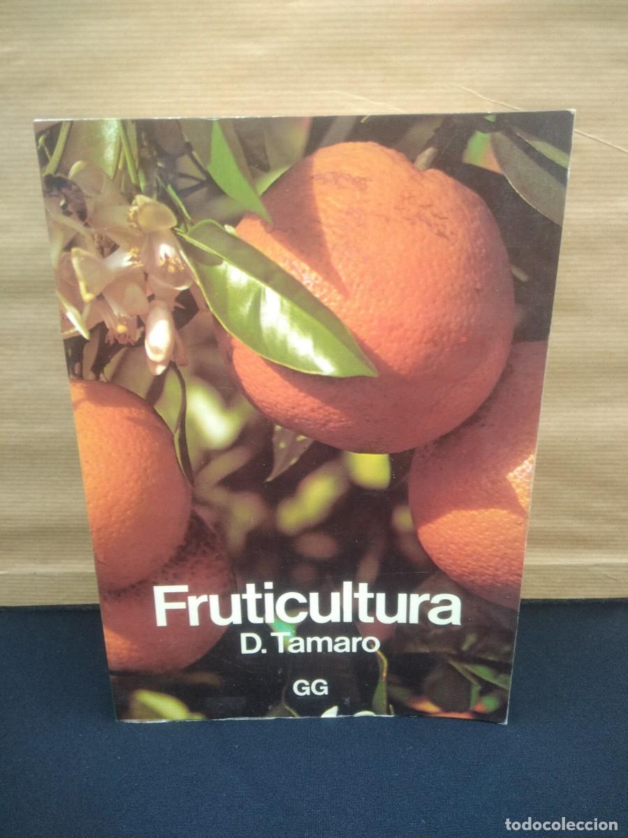 Libros de segunda mano: Libro Fruticultura-D.Tamaro - Foto 2