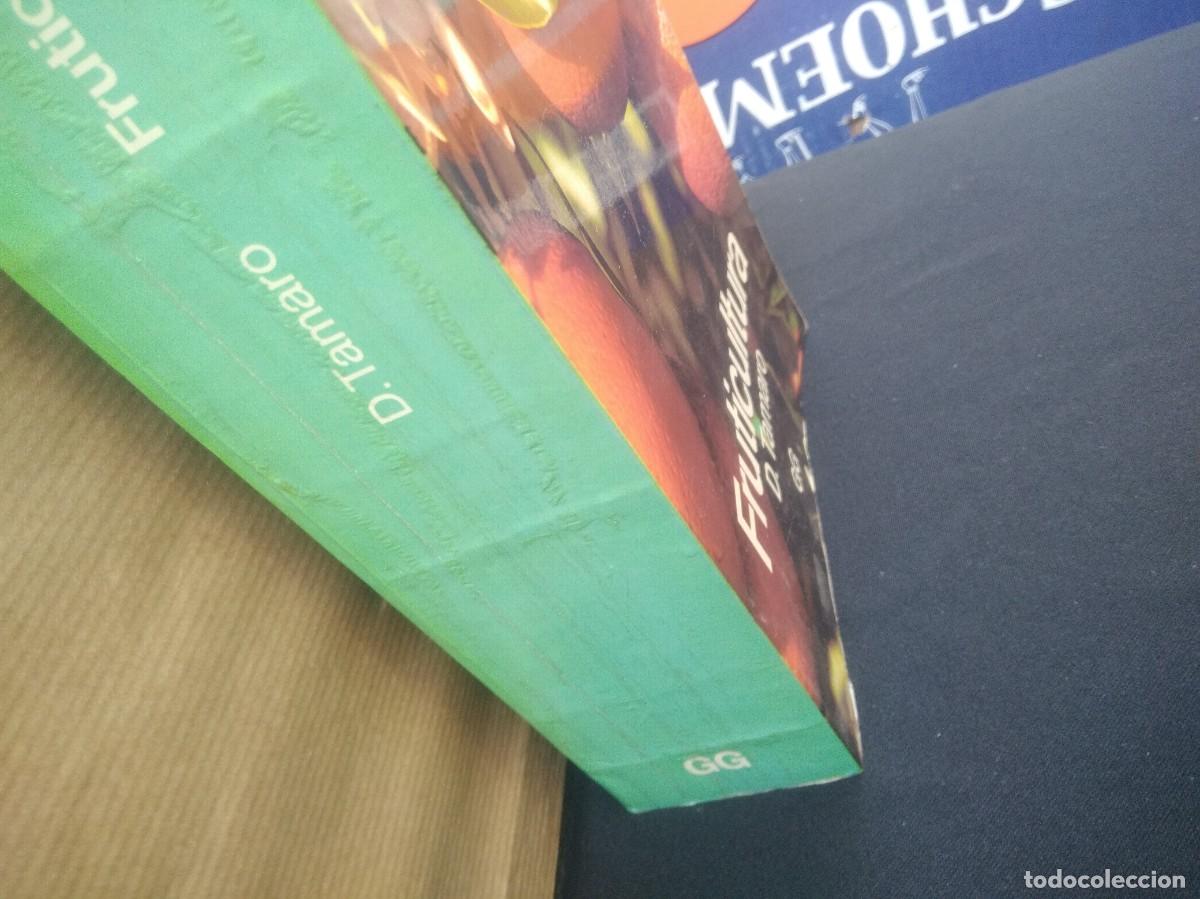Libros de segunda mano: Libro Fruticultura-D.Tamaro - Foto 5