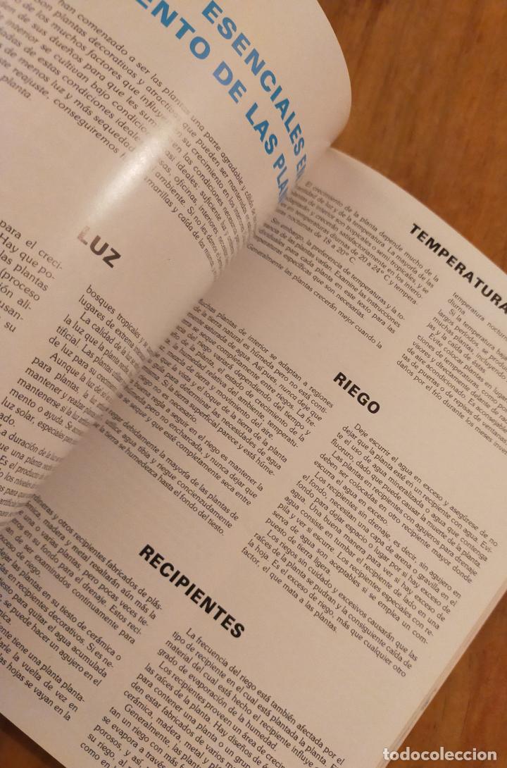 Libros de segunda mano: GUIA INTERFLORA DE PLANTAS Y FLORES - Foto 3